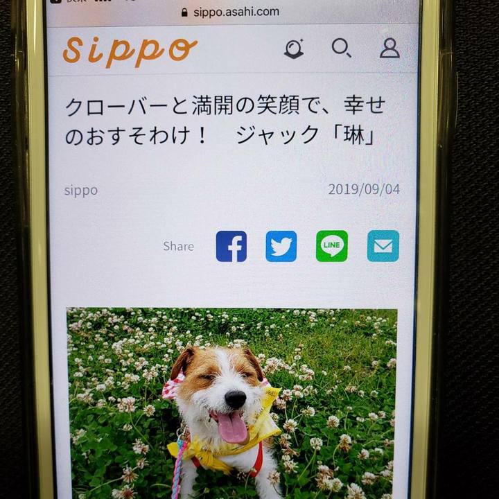 583b422a 3932 42bf bae6 a890e824e6b3 1567549425176