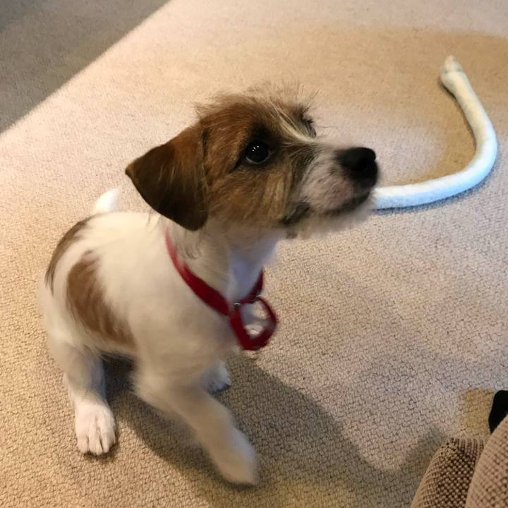 583bf9d5 42fc 45b1 b0c8 d0e8f2279d2d 1758975420090