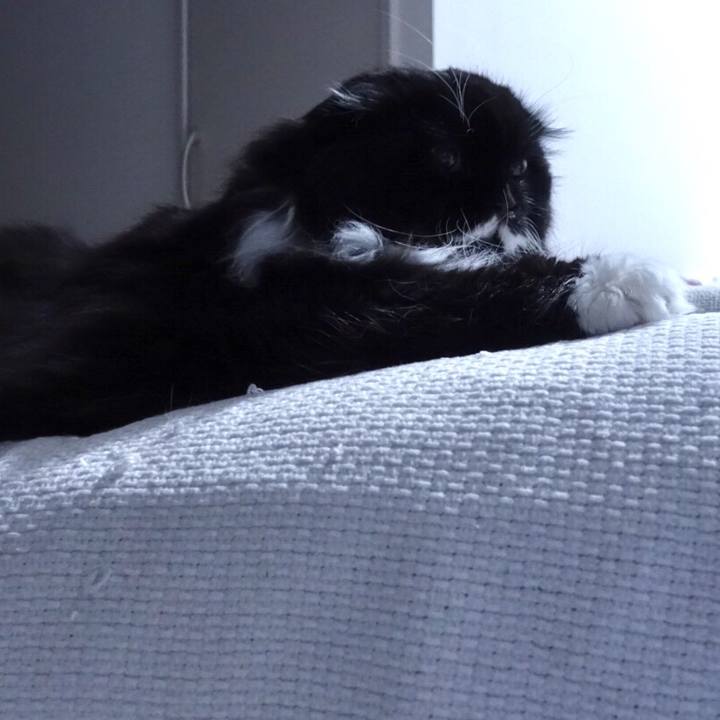 583c5374 0592 4f60 aa72 dad69062e534 1520520225395