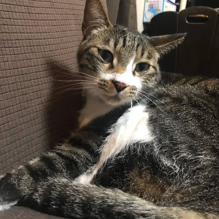 583c66fb c202 47a1 b15c 7ba31b62ba0c 1556631719743