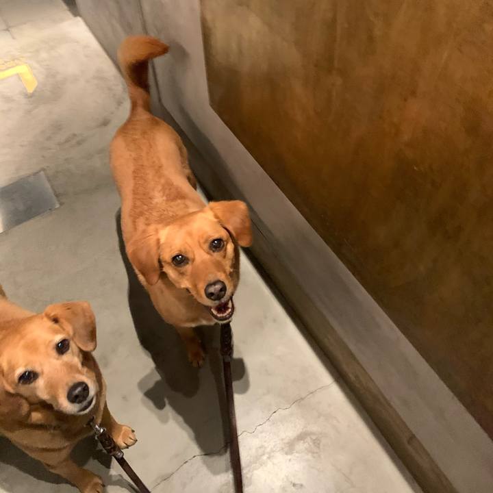 583c9e2c d4b0 49c5 af72 76def6e4b03f 1619174482444