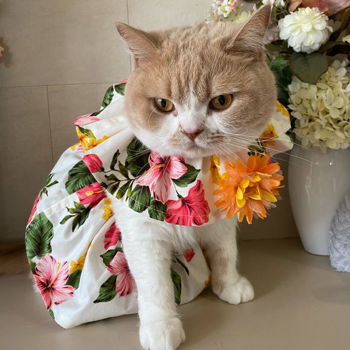 583ca0a9 e54a 460c 9b1c 1ff5eefcfcbb 1601635543003