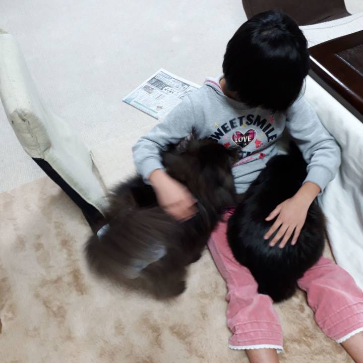 583cff14 934f 4554 bc1a d4b530196686 1517389710709