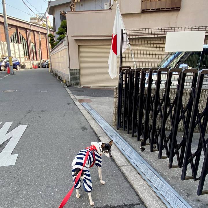 583d601c ce45 406a 9439 37adc9dc2d15 1613032069859