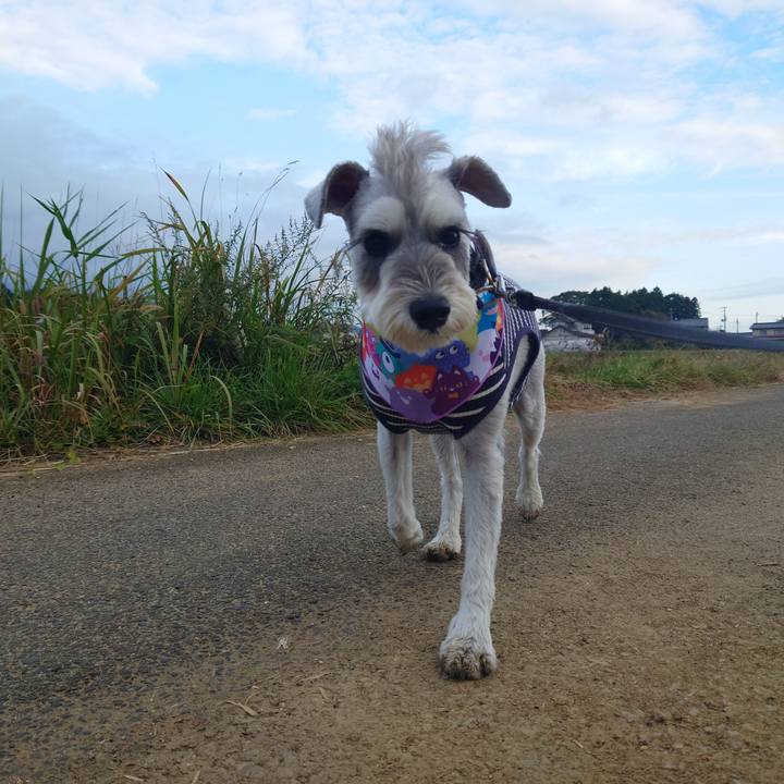 583d9e56 890c 4acb 9af2 945a66eafba4 1761347998597