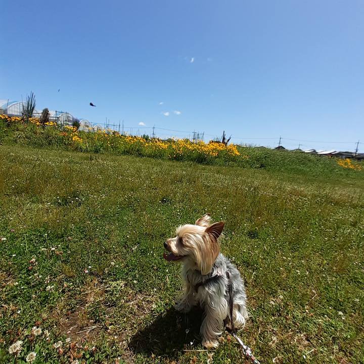 583e2b38 a780 4445 8741 1b3698d3b6cd 1684931018848