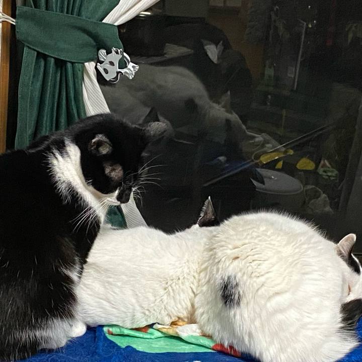 583e4fa7 06de 457d 877b d2761f120ac6 1671546415186