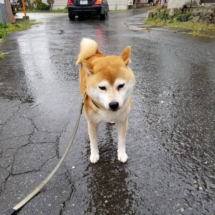 583e5311 f0b2 44f4 a564 05beb46ec123 1571022383658