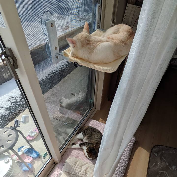 583e83d5 54c6 4343 8eda 9ff4e4b75c0f 1707275839365