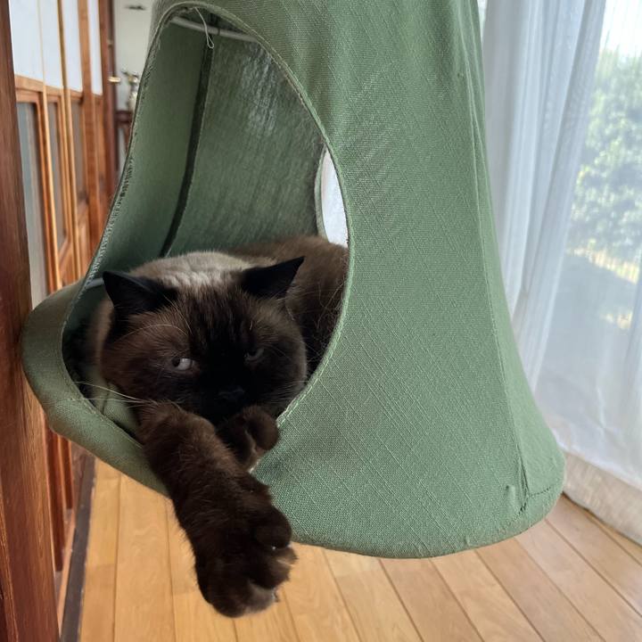 583e8b0e 623b 48cc 967d 1fa6acaf9f8e 1693714681787