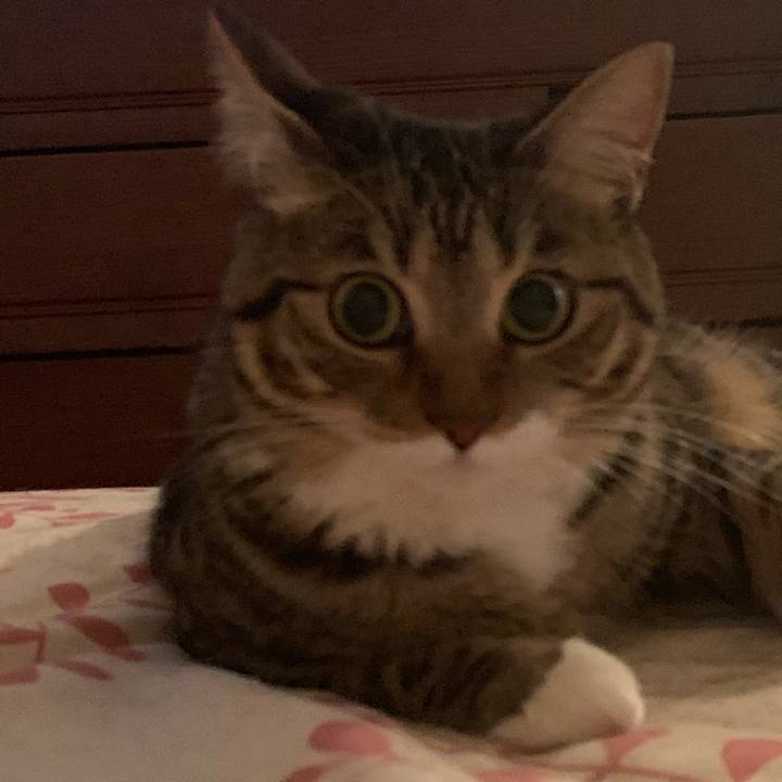 583eadef eef8 4730 b8eb 283dbe8f8ea7 1562164272047