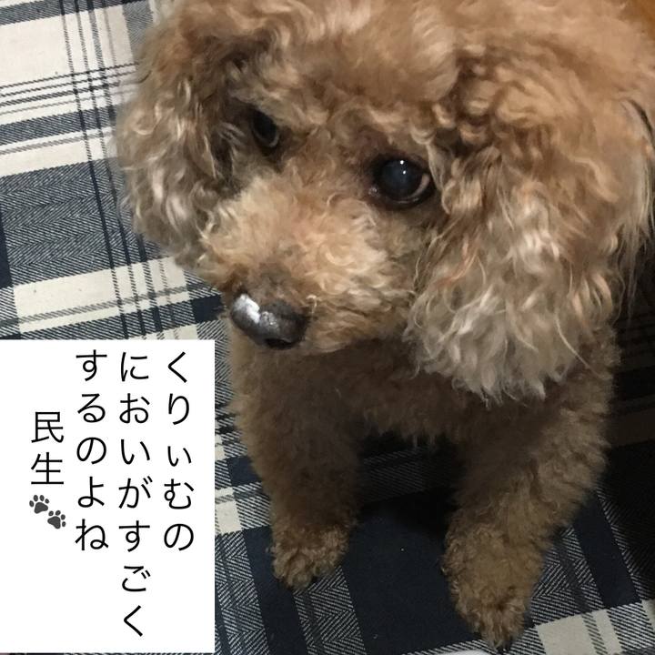 583ec906 866d 42ed 8dff 53aef5cf4b73 1524744109890