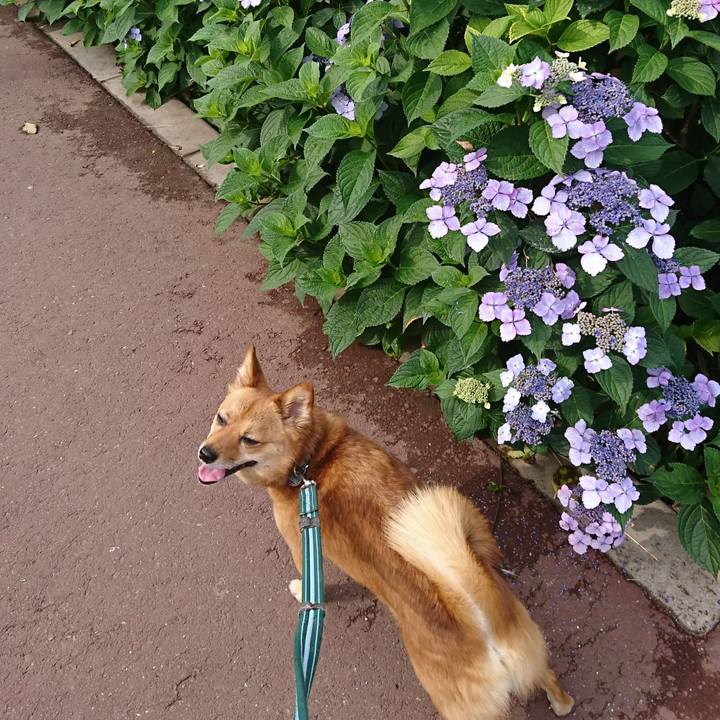 583ecc96 1b84 4b90 b44f 54acab2297b8 1527727061823