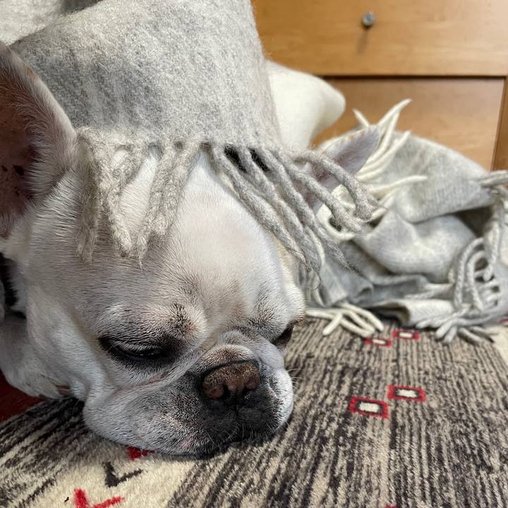 583ed701 4535 4b5c 8e5d 536b1957f415 1736144744943