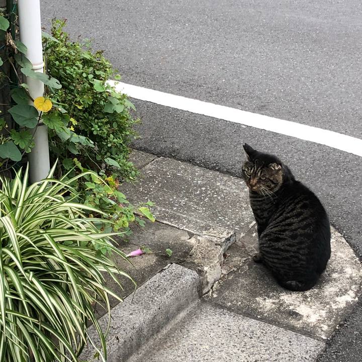 583edede c961 4649 b104 7fe8f8ce2123 1540119047154