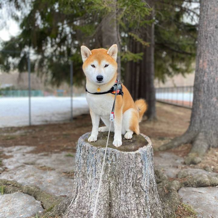 583ef2d1 89f0 48d2 959c 6a0303dd00ba 1615857075565