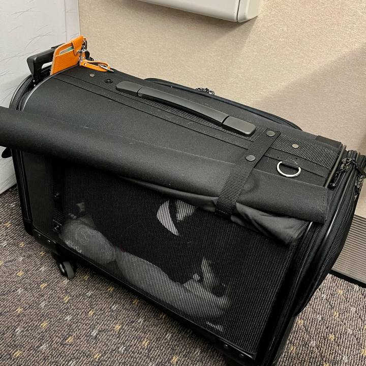 583f56e1 2cee 44bd 9bdc 290f66f77161 1640781772470