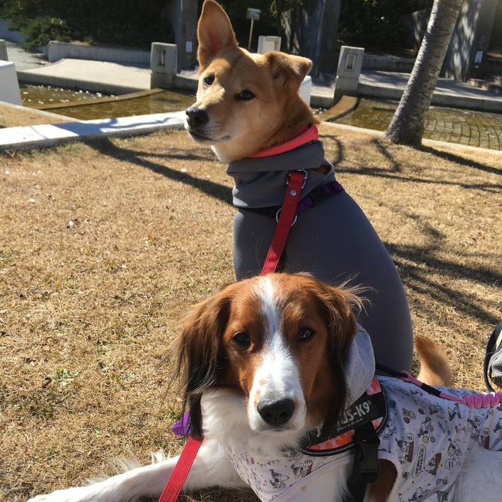 583f5fff cf10 495d b476 5bdc8e067ea4 1548578703194