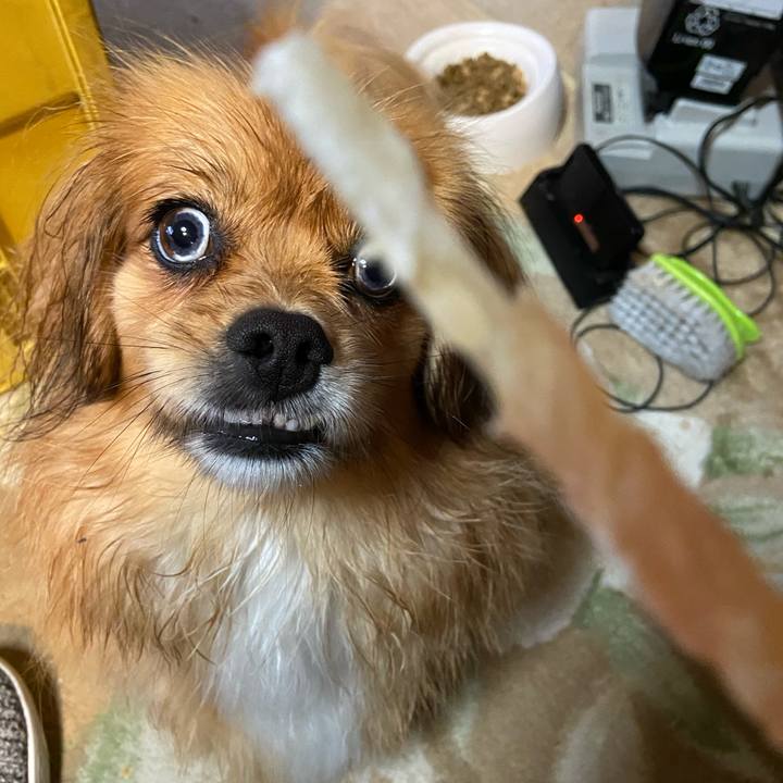 583f69f6 b121 4b63 bff1 5c188f28f06e 1589581907906