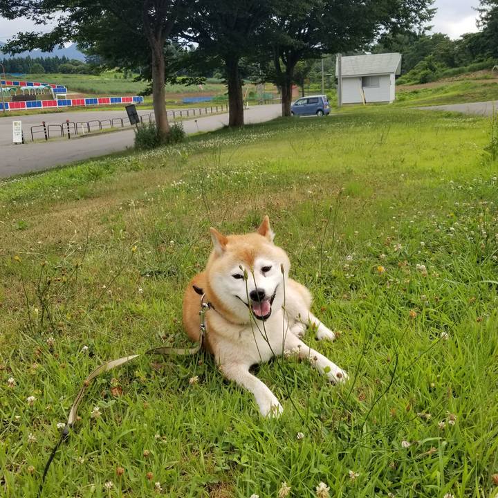 583f7b1e e502 4f70 917a 7a3ee85a333f 1657443007731