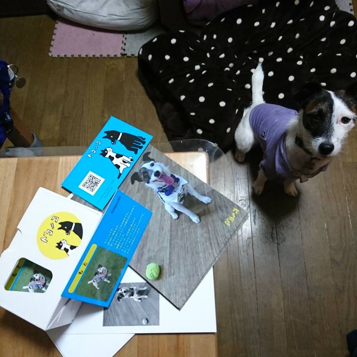 583fb325 7c30 436b a0fa 47606ae2e825 1508544673906