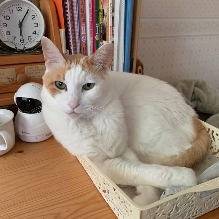 583fb33a dc98 4b68 b42f 5fdb67c7fd38 1651784650630