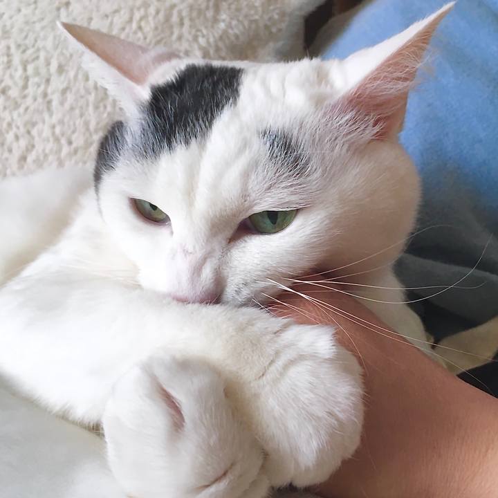 583fe98b 4952 434a 8fd9 14382796be78 1588144984622