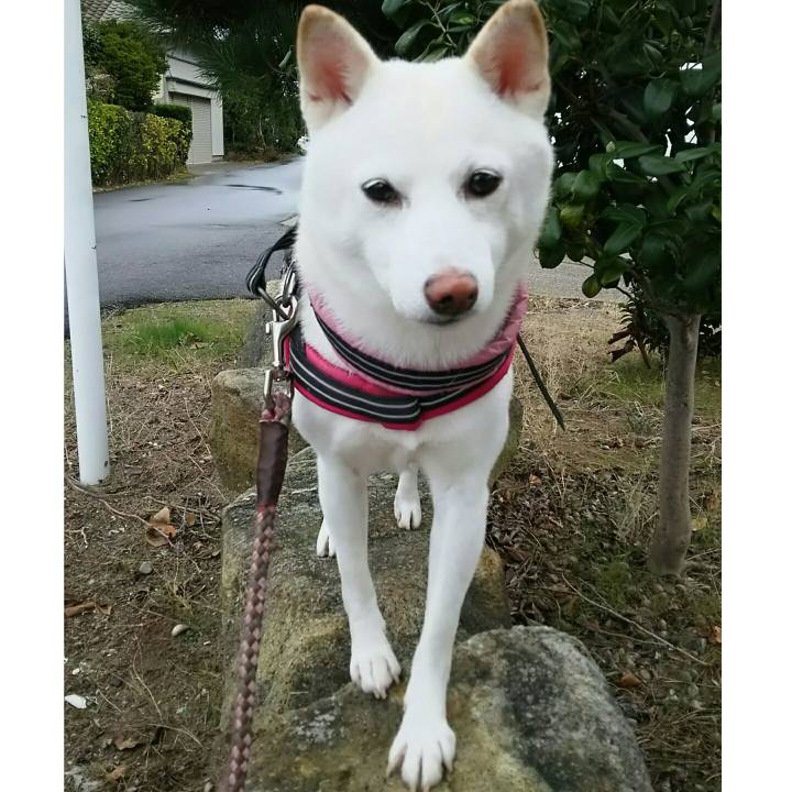 584014ee 304d 47dd b949 2df102917223 1541732817869