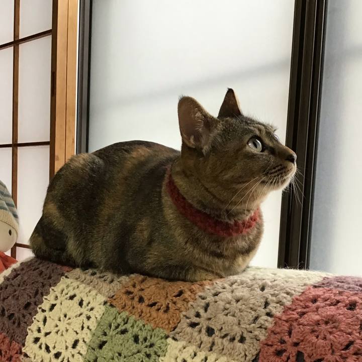 58402663 a5b6 49b1 8ae3 e32185383719 1644454677613