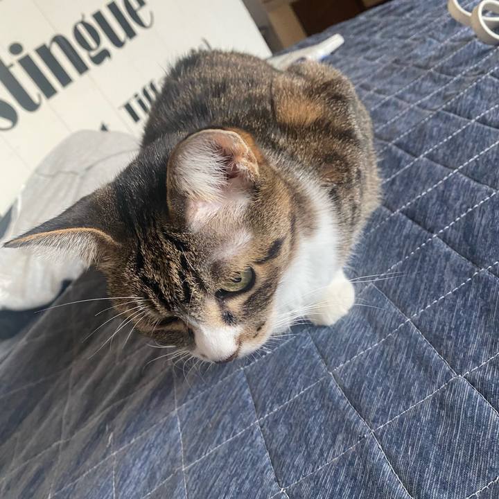 58404b73 1383 43db a86e a21d766748bc 1697580503887