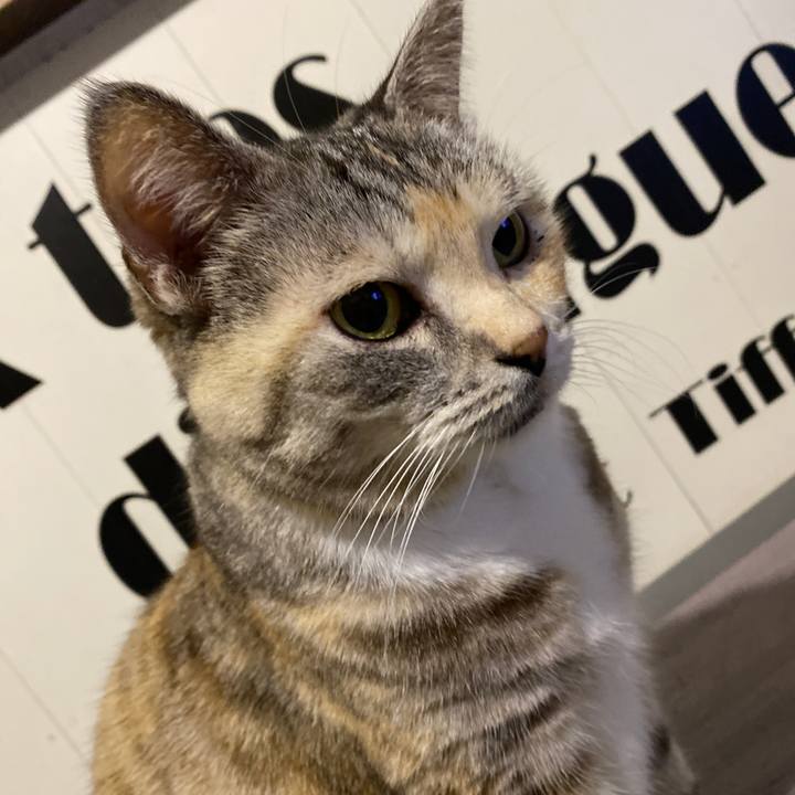 584059dd 0274 4d7a 898f 242aa9bca9d2 1670160549868