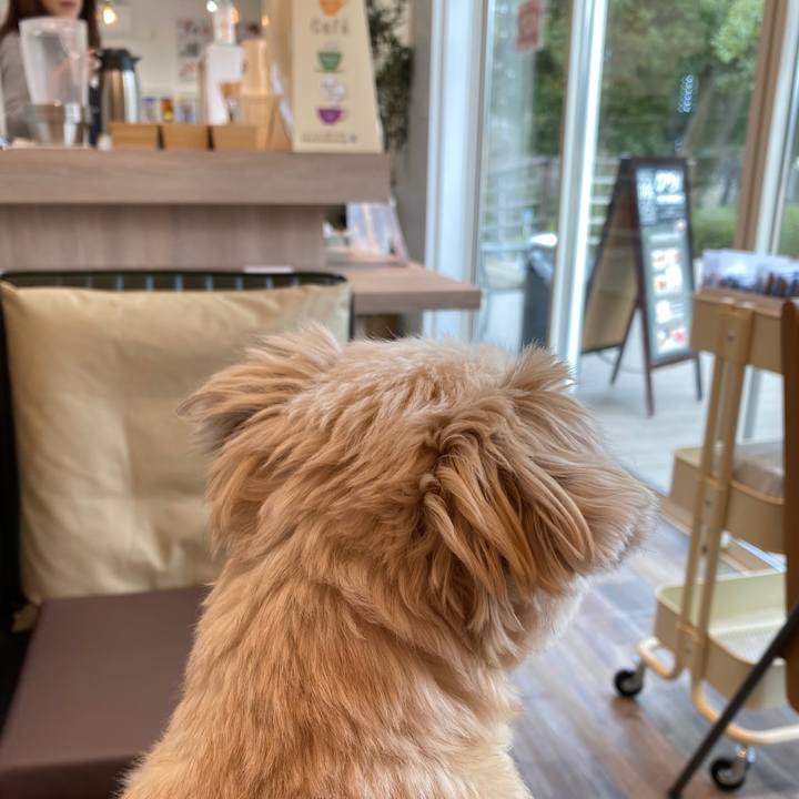 58407354 bf57 4b16 b661 413fcfc57bed 1582965488065