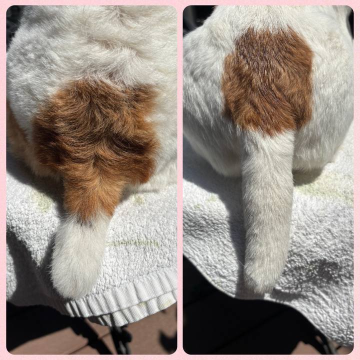 58408ea5 4d8f 42b6 831a 8e36be2568ee 1747144535361