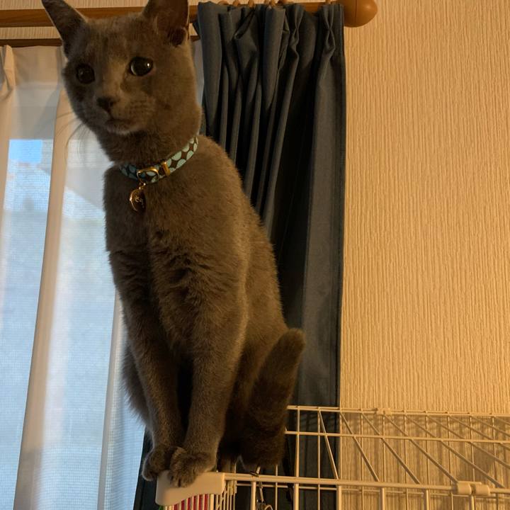 58409a45 cf96 4ffe 8952 dc8610a01912 1577314631898