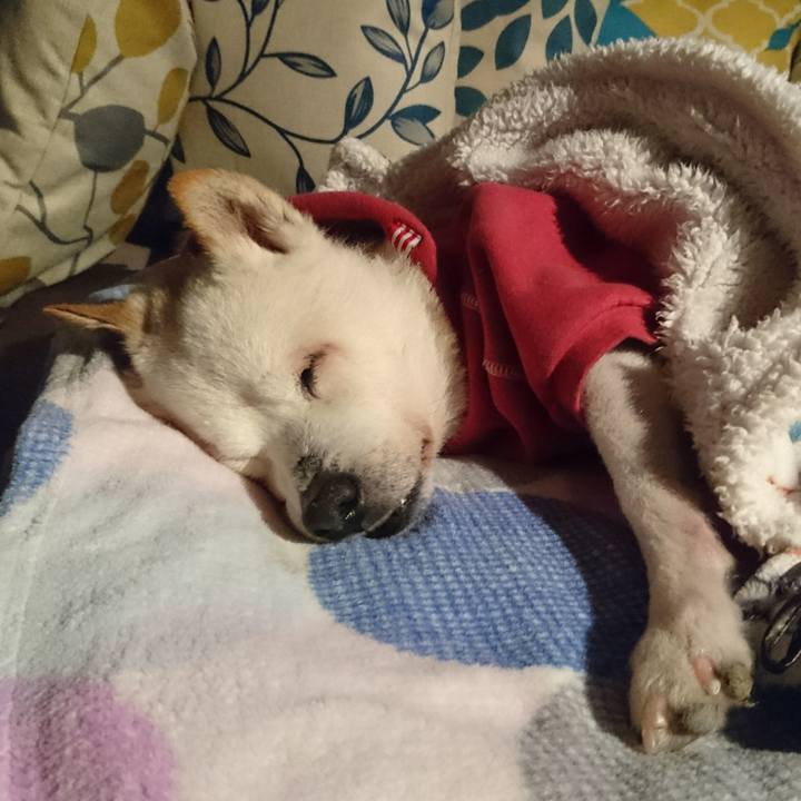 58409d1b 711e 428b 8519 7aacf172deda 1540426190369