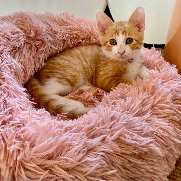 5840ba5b b2fa 40bf 8f64 21c7aa1f5abd 1666690993741