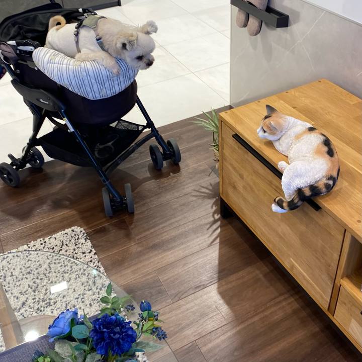 5840c20b 790a 4a31 a6f4 a88c8659ed2c 1733647605442