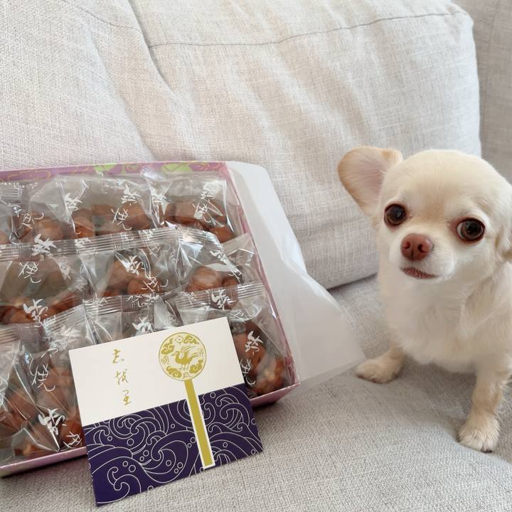 5840ea96 f40a 4ffe 81da f51b83060823 1723641366781