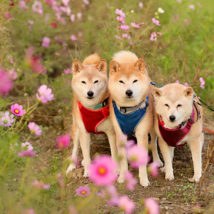 5841535e b6e4 4b0c a2ce e5fc4c9b27a1 1761582043693