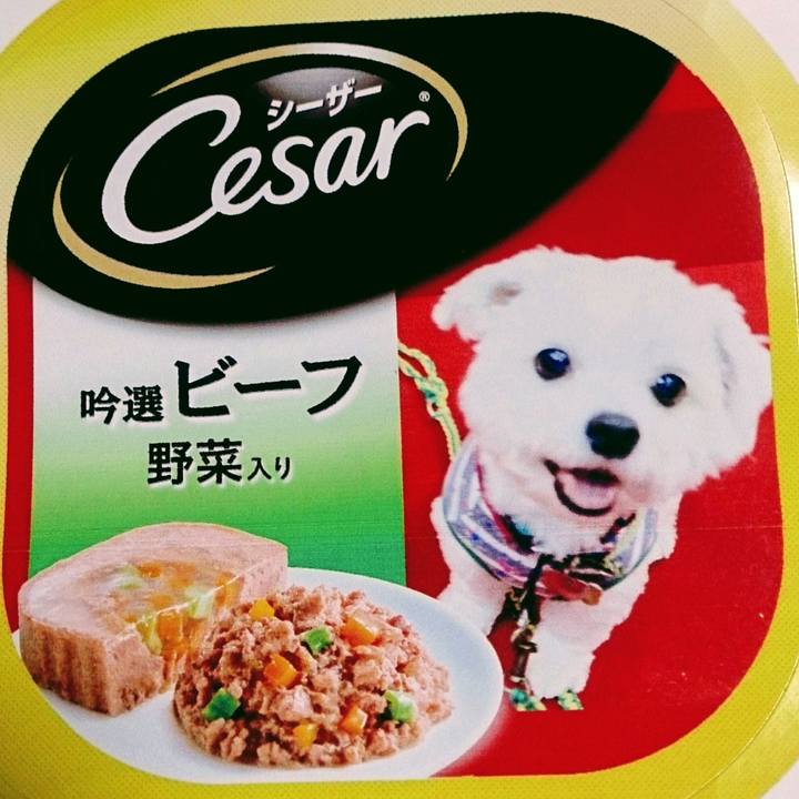 58419f7f 18bf 4975 8c04 553b679fe934 1522639492214