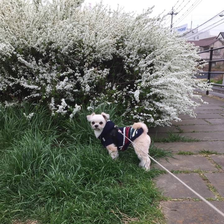 5841a2c0 7ba1 457e 87c9 2025d82299a9 1553331644174