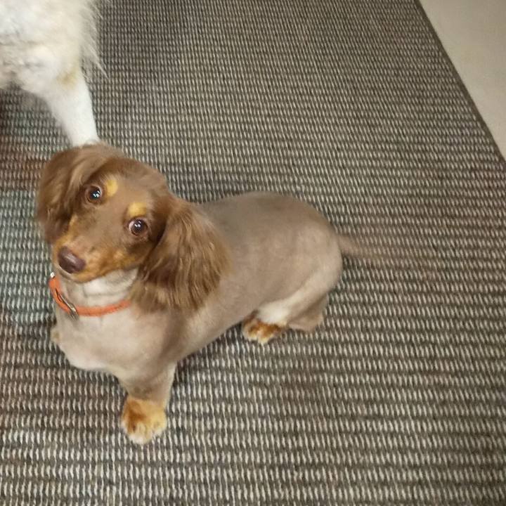 5841a417 cc92 4cc6 9439 ae5fd2eb6877 1595929495305