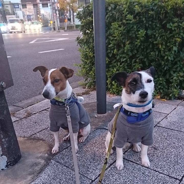 5841aa4e b36e 440b ae5e 358d88113ded 1576274560223