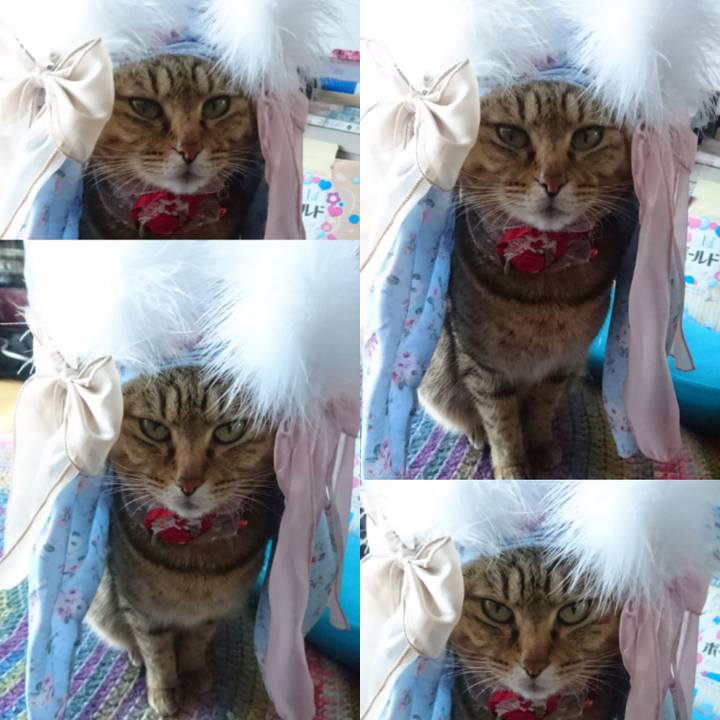 5841cdf1 b20a 4603 ad80 387415d02512 1765500693469