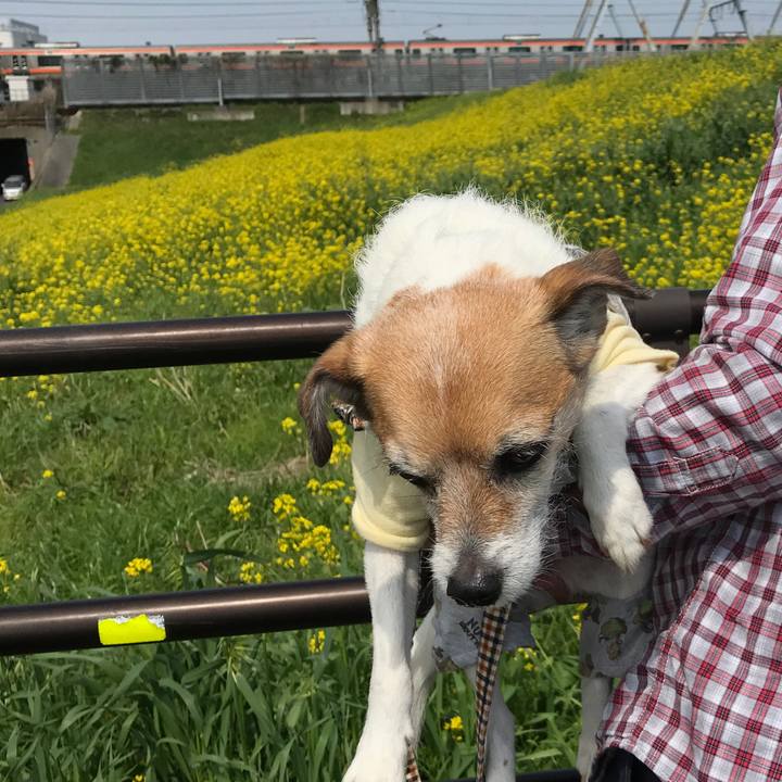 5841d8d2 4359 40ec 9017 e576874bc4a1 1585897249673