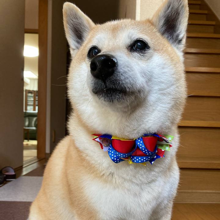 5841e022 bf34 4a9c 9f0b 7ca33fef1b42 1620198591140