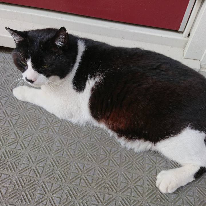 5841ea8b 1a90 4a51 a9c6 274b185e96c8 1560382428218