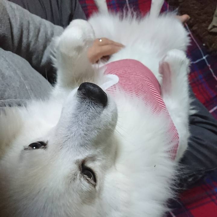 5841f6bb 0d76 437d 9dd4 e79e8e676389 1512419071232