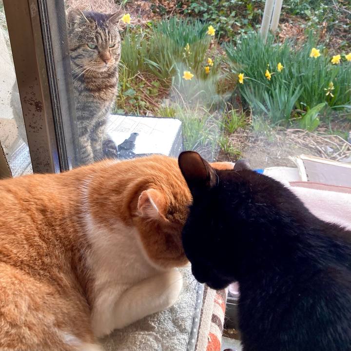 5841fa34 5757 466d bc54 032ef79799db 1682391229339