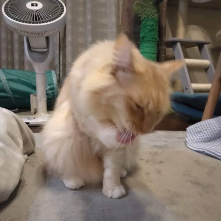 58421709 927d 495f bdd1 86795da2560d 1667213614822